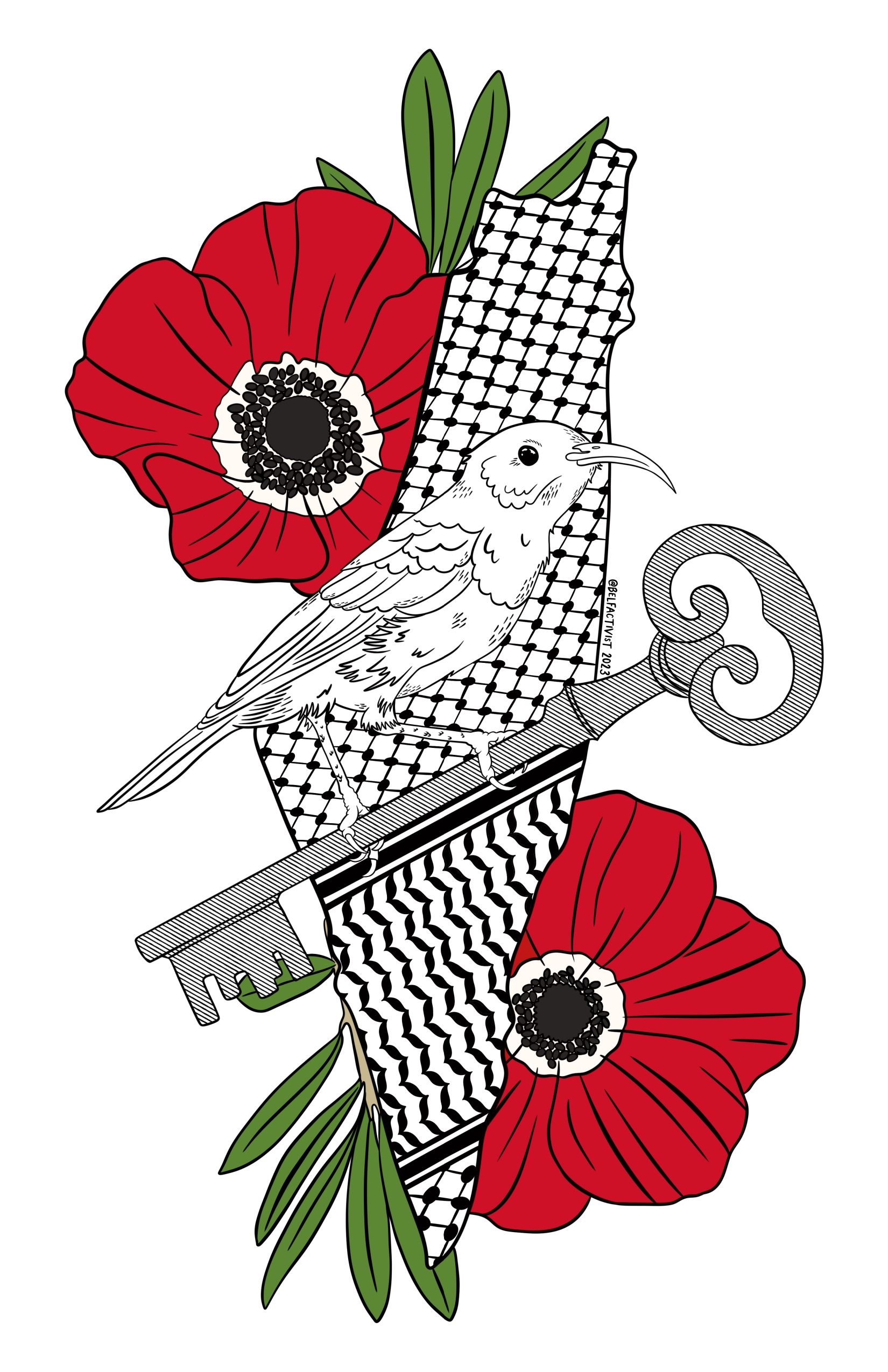 Belfactivist celebrate Palestine